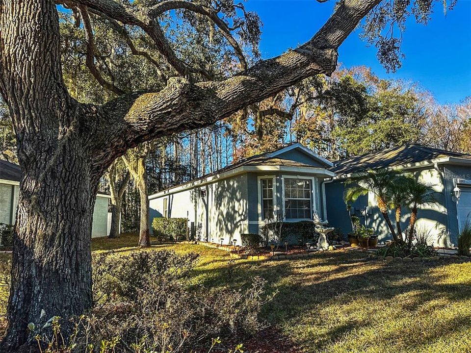 待售: $249,900 (2 贝兹, 2 浴室, 1354 平方英尺)