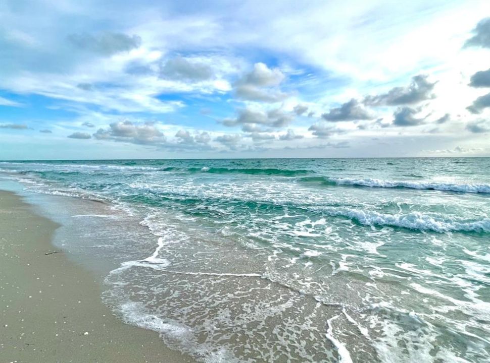 待售: $16,900 (0.23 acres)