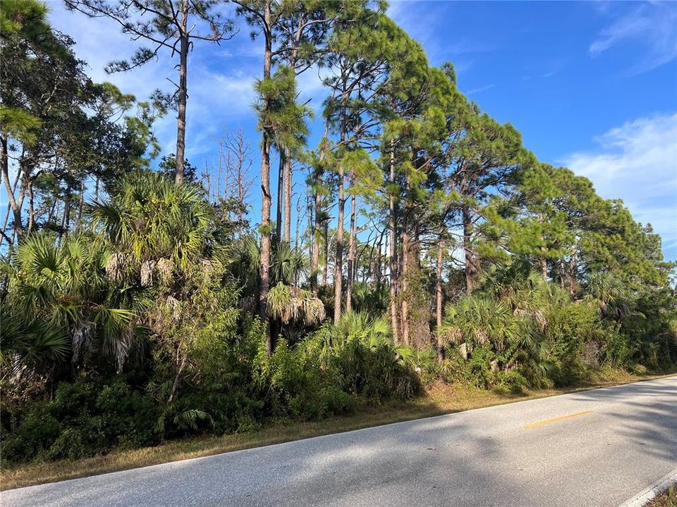 待售: $16,900 (0.23 acres)