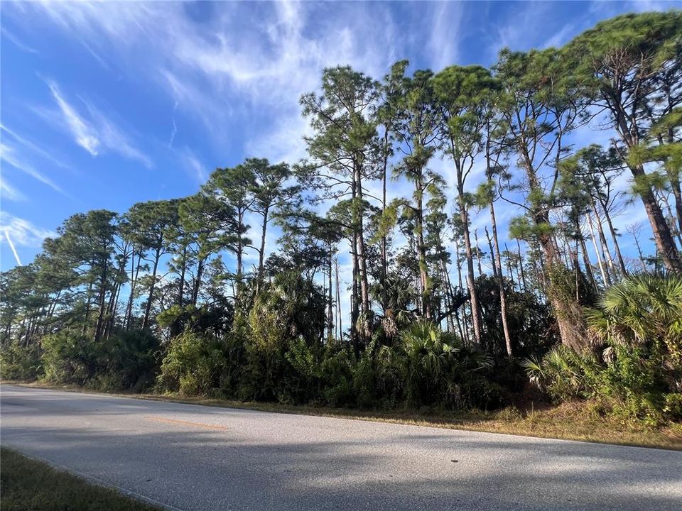 待售: $16,900 (0.23 acres)