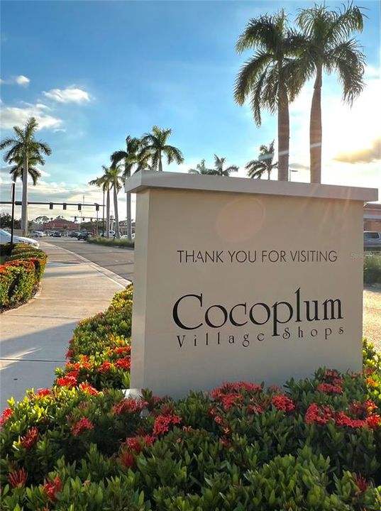 待售: $16,900 (0.23 acres)