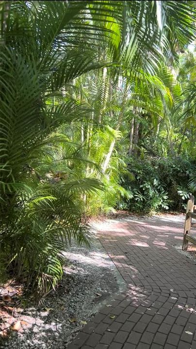 待售: $16,900 (0.23 acres)