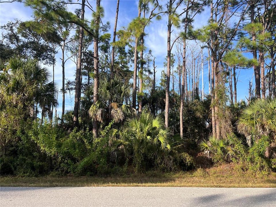 待售: $16,900 (0.23 acres)