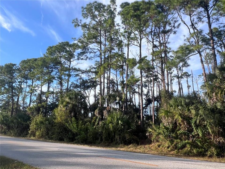 待售: $16,900 (0.23 acres)