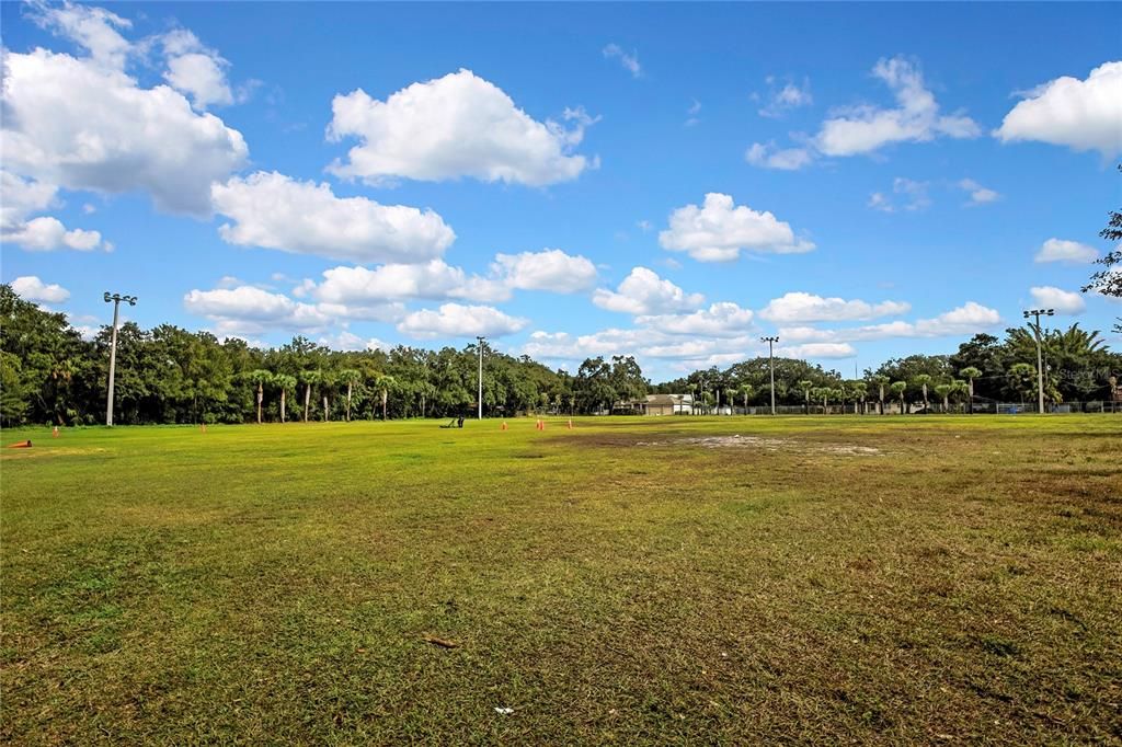 En Venta: $135,000 (0.30 acres)