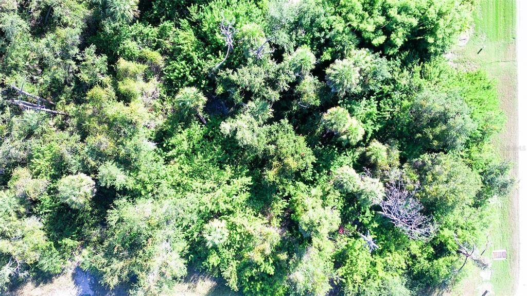 En Venta: $31,550 (0.23 acres)