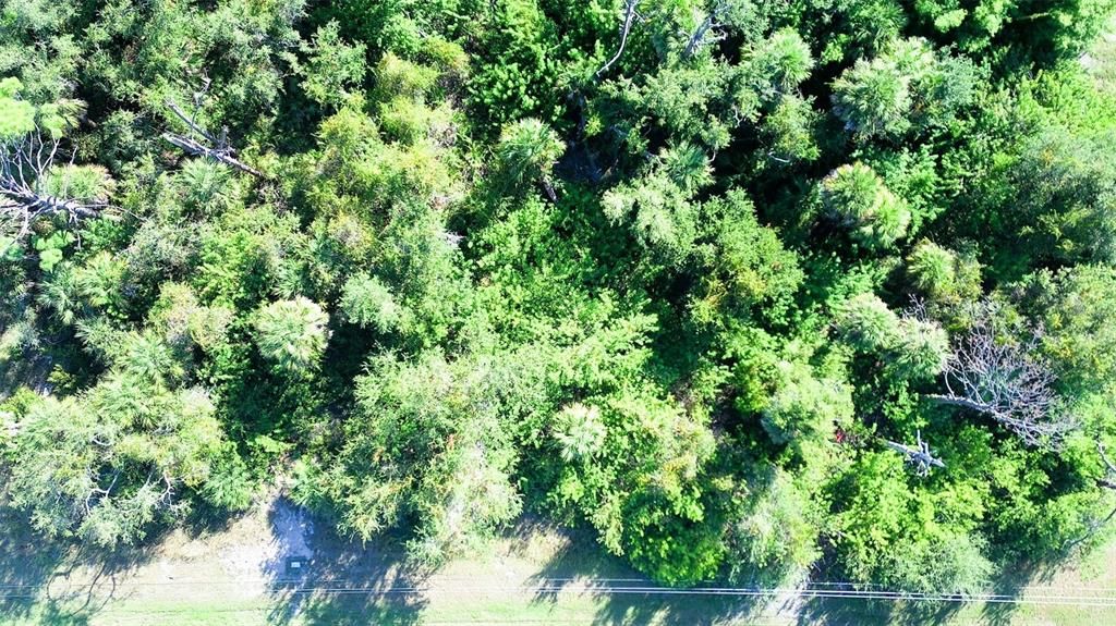 待售: $29,900 (0.17 acres)