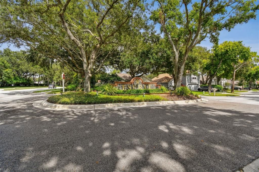 For Rent: $2,900 (3 beds, 2 baths, 1884 Square Feet)