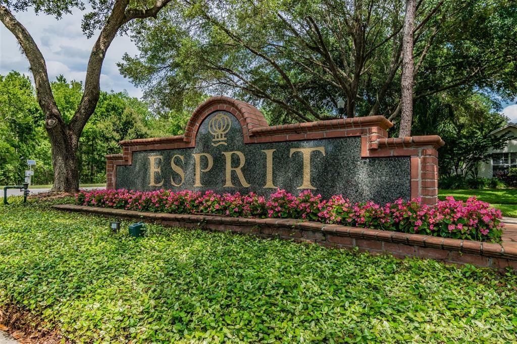 For Rent: $2,900 (3 beds, 2 baths, 1884 Square Feet)