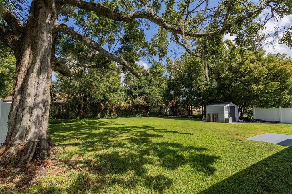 出租: $1,900 (3 贝兹, 1 浴室, 1044 平方英尺)