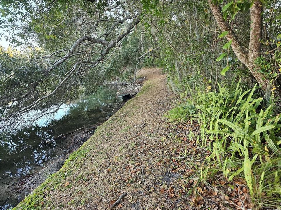 For Sale: $135,000 (0.44 acres)