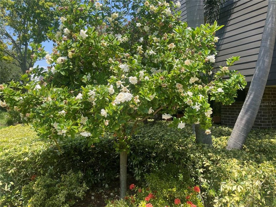 For Sale: $319,000 (2 beds, 2 baths, 1210 Square Feet)