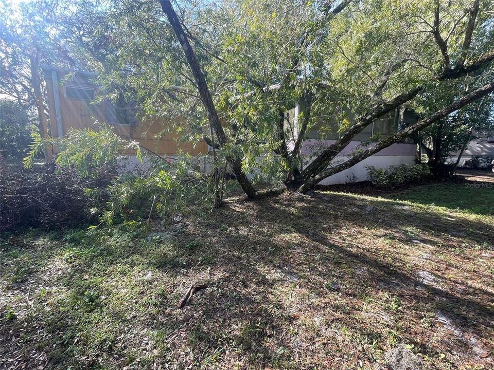 出租: $1,500 (2 贝兹, 2 浴室, 696 平方英尺)