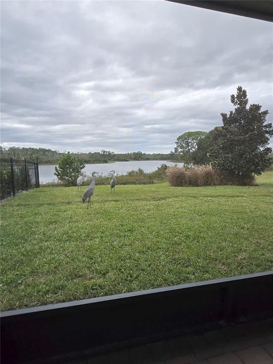 В аренду: $4,300 (5 спален, 3 ванн, 3299 Квадратных фут)