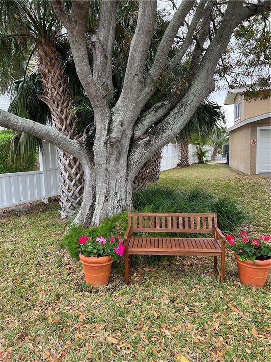 На продажу: $549,000 (3 спален, 1 ванн, 1200 Квадратных фут)