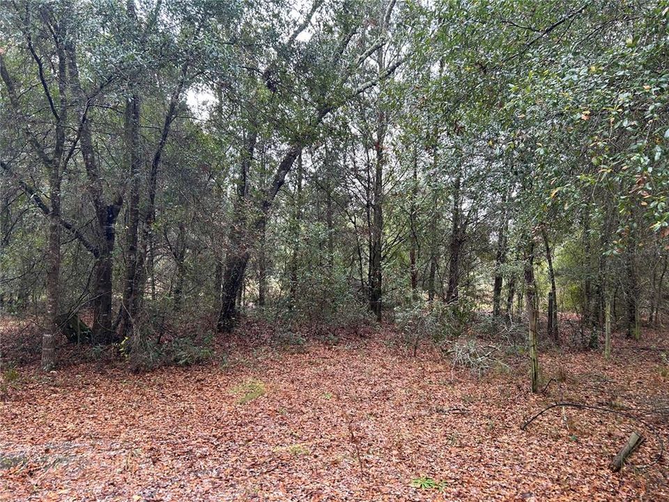 For Sale: $79,900 (2 beds, 1 baths, 644 Square Feet)