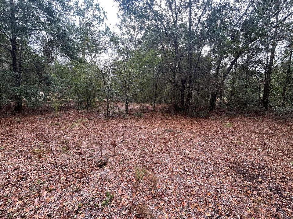 For Sale: $79,900 (2 beds, 1 baths, 644 Square Feet)