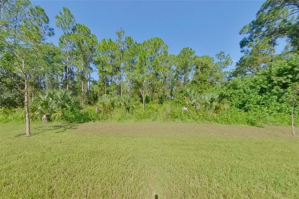 В аренду: $1,795 (4 спален, 2 ванн, 1209 Квадратных фут)