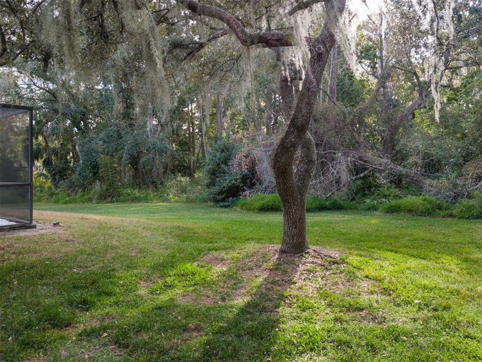 For Sale: $559,000 (3 beds, 2 baths, 1832 Square Feet)