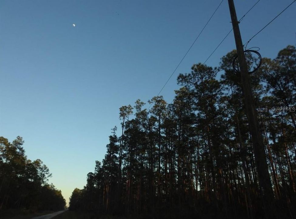 Activo con contrato: $9,000 (0.50 acres)