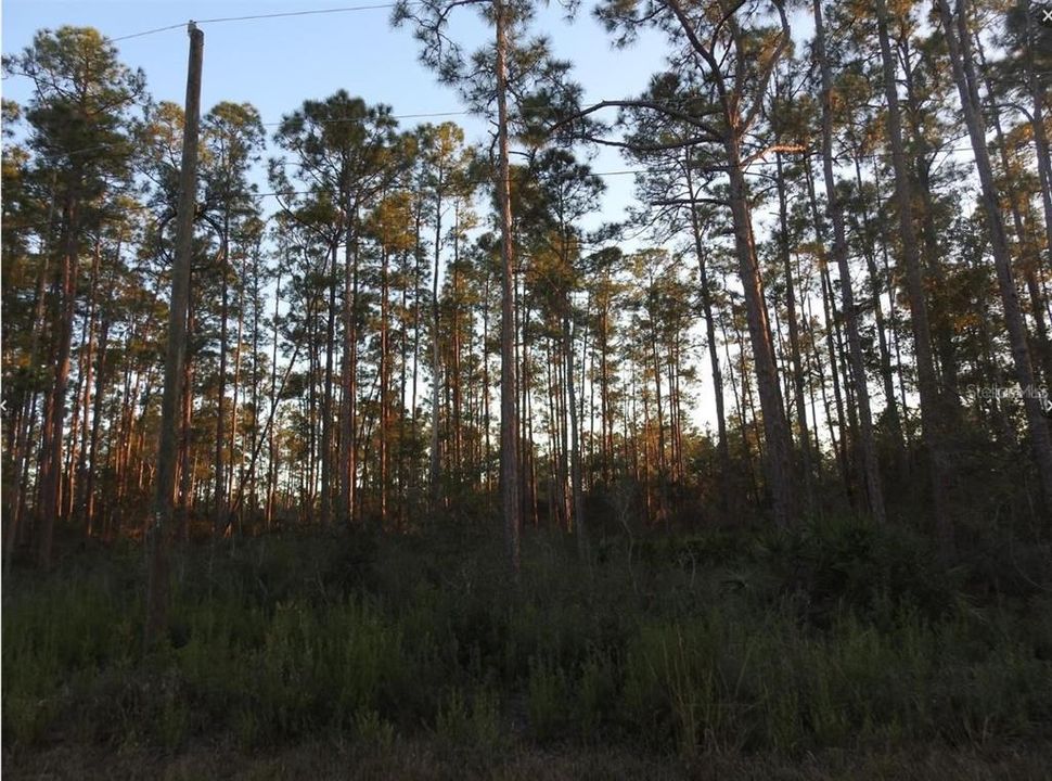 Activo con contrato: $9,000 (0.50 acres)