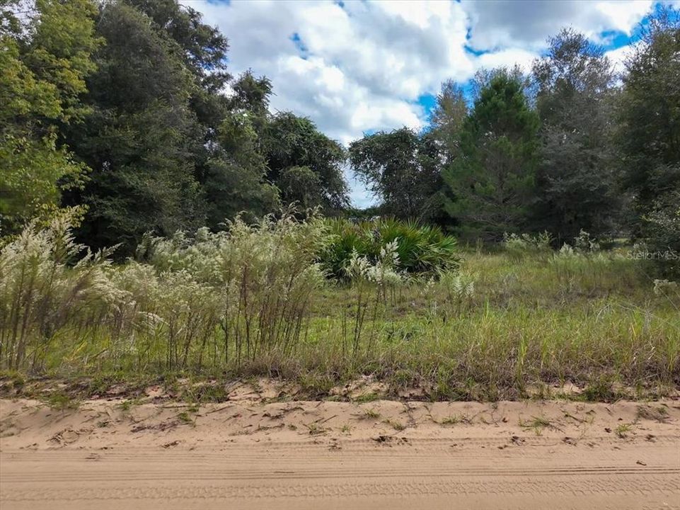 待售: $9,900 (0.22 acres)