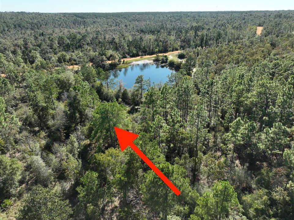 待售: $19,900 (1.23 acres)