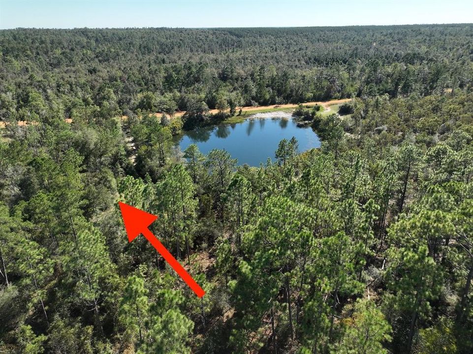 待售: $19,900 (1.23 acres)