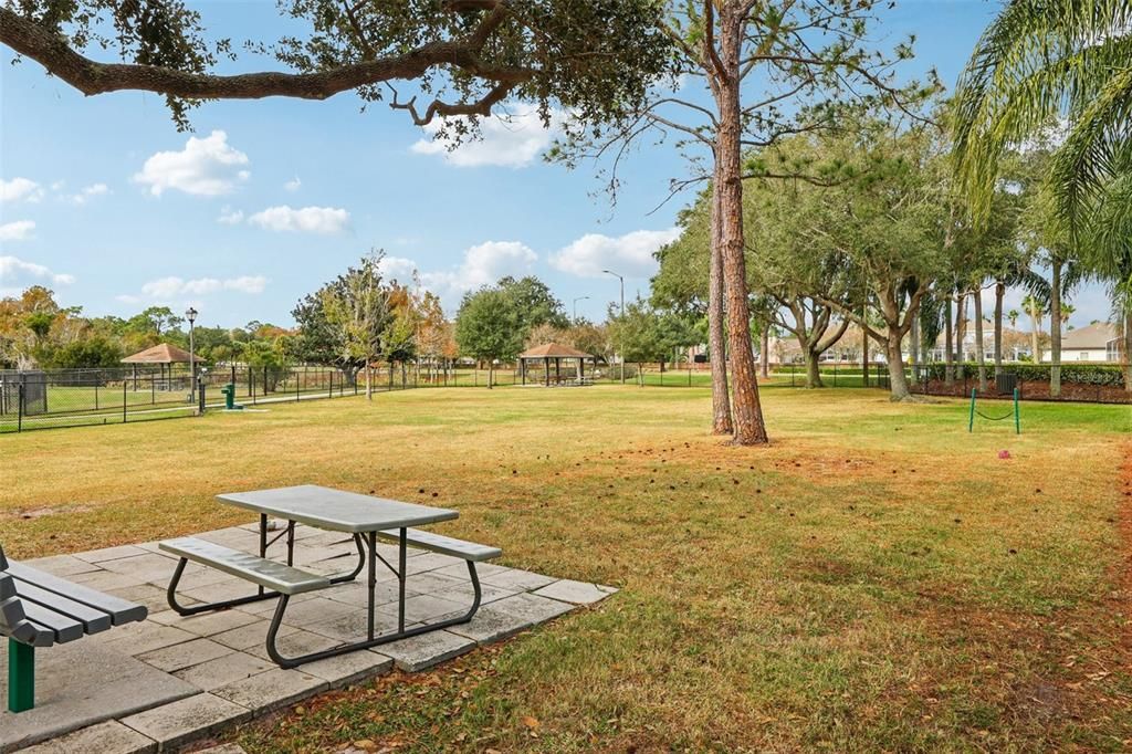 待售: $549,900 (3 贝兹, 2 浴室, 1656 平方英尺)