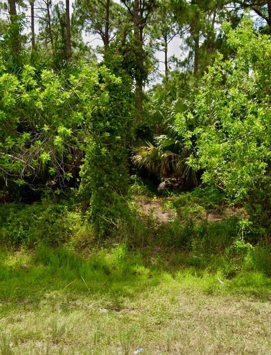 For Sale: $155,000 (0.29 acres)