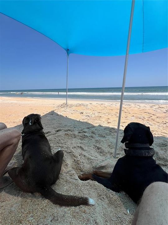 待售: $779,900 (3 贝兹, 2 浴室, 1746 平方英尺)