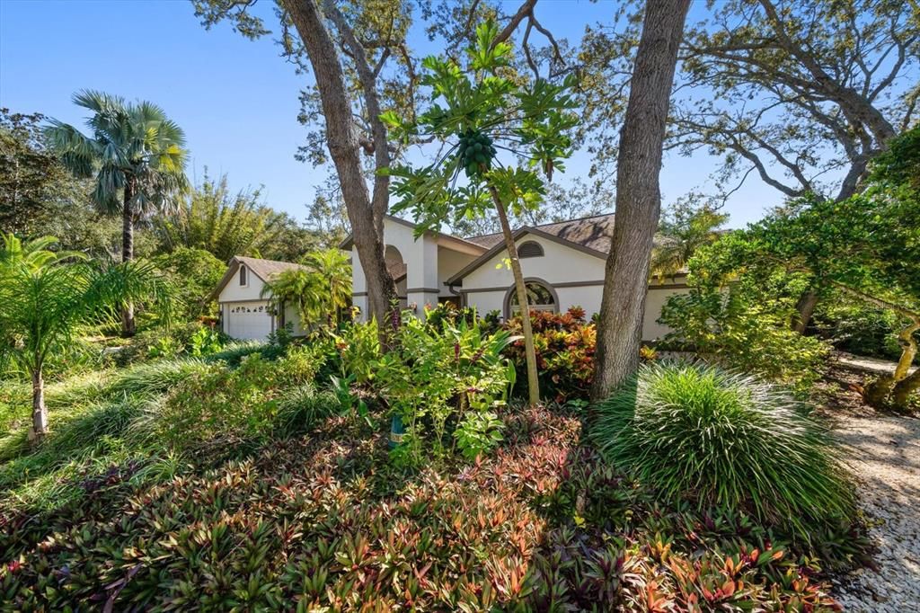 待售: $1,350,000 (3 贝兹, 3 浴室, 3514 平方英尺)