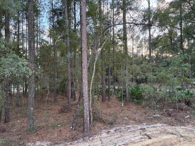 待售: $441,850 (4 贝兹, 2 浴室, 2557 平方英尺)