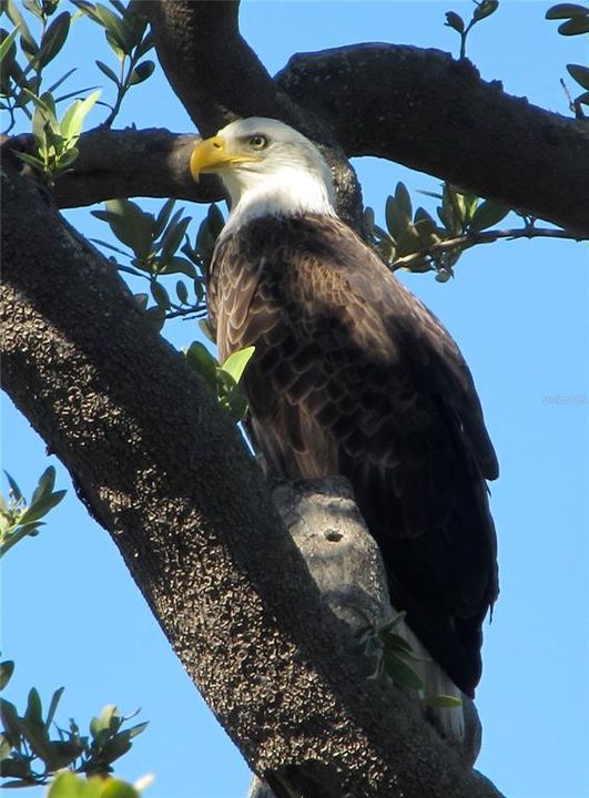 待售: $345,000 (3 贝兹, 2 浴室, 1592 平方英尺)