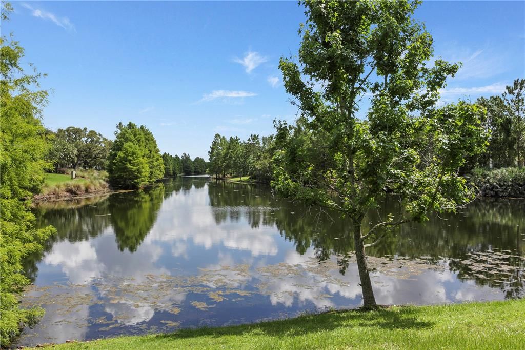 待售: $2,200,000 (5 贝兹, 4 浴室, 4823 平方英尺)