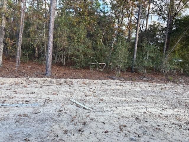 待售: $461,850 (4 贝兹, 3 浴室, 2508 平方英尺)