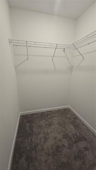 出租: $2,690 (5 贝兹, 2 浴室, 2370 平方英尺)