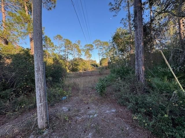 待售: $65,000 (2 贝兹, 1 浴室, 784 平方英尺)