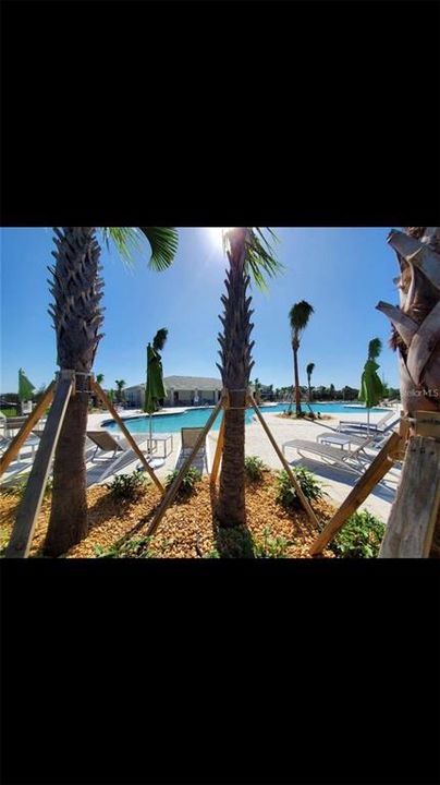 For Rent: $2,950 (4 beds, 3 baths, 2556 Square Feet)