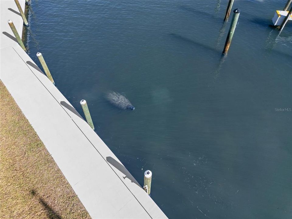 待售: $585,000 (1 贝兹, 1 浴室, 686 平方英尺)