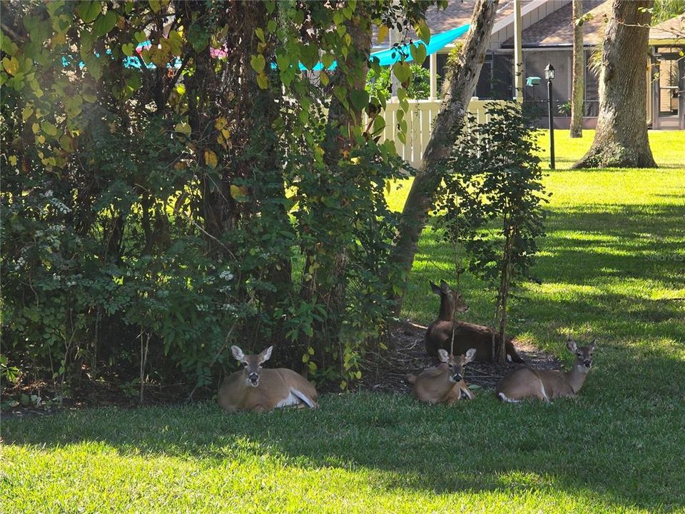 For Rent: $2,500 (3 beds, 2 baths, 2004 Square Feet)