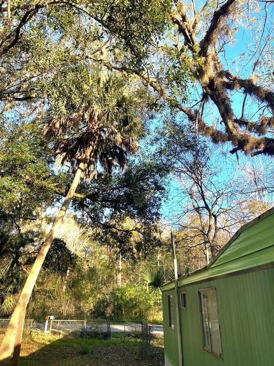 待售: $99,000 (2 贝兹, 1 浴室, 672 平方英尺)