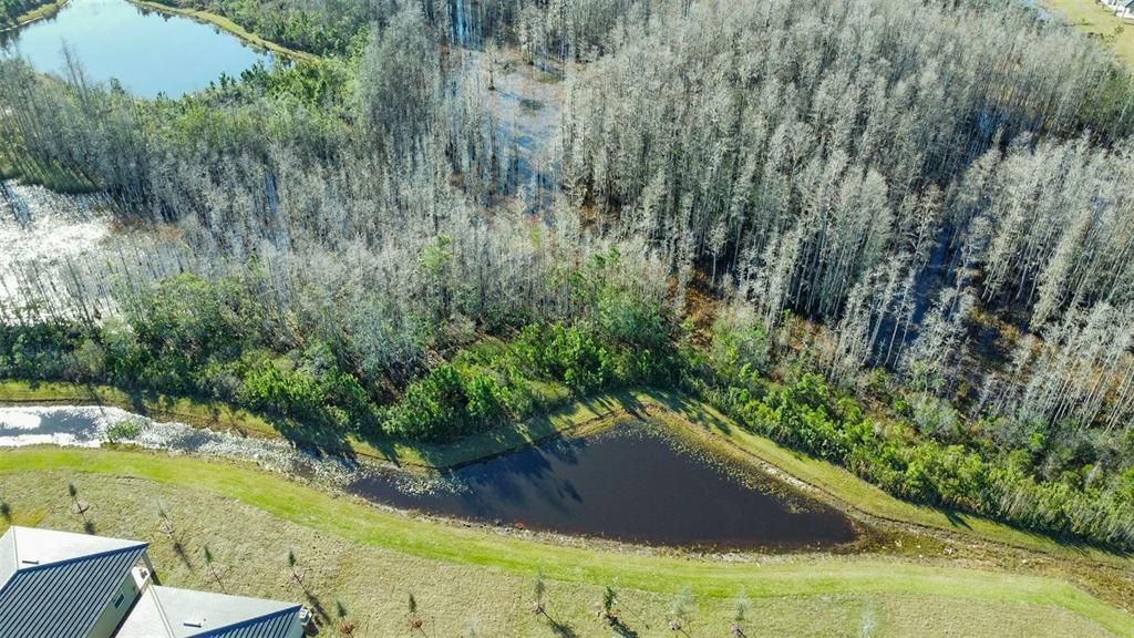 For Rent: $2,300 (2 beds, 2 baths, 1683 Square Feet)