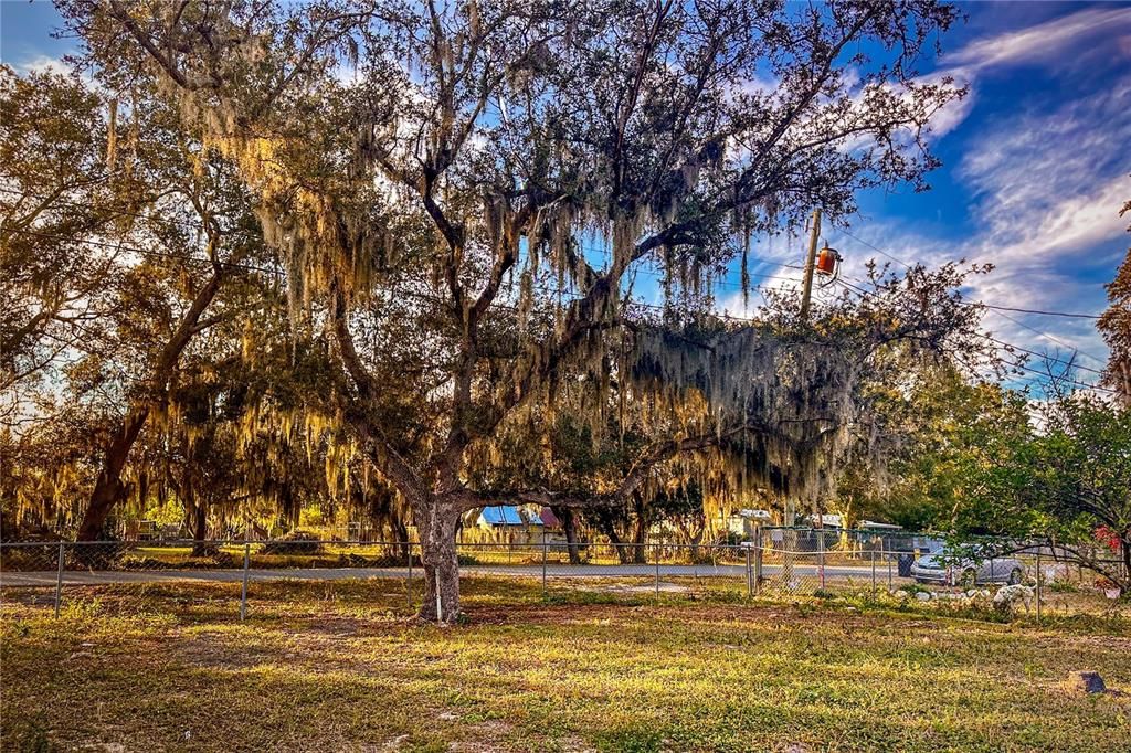 На продажу: $99,000 (3 спален, 1 ванн, 871 Квадратных фут)