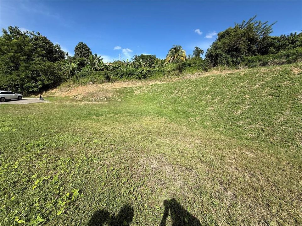 На продажу: $250,000 (0.41 acres)