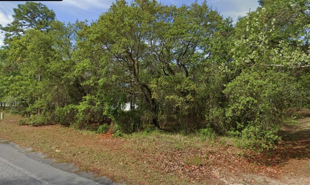 待售: $35,000 (0.26 acres)