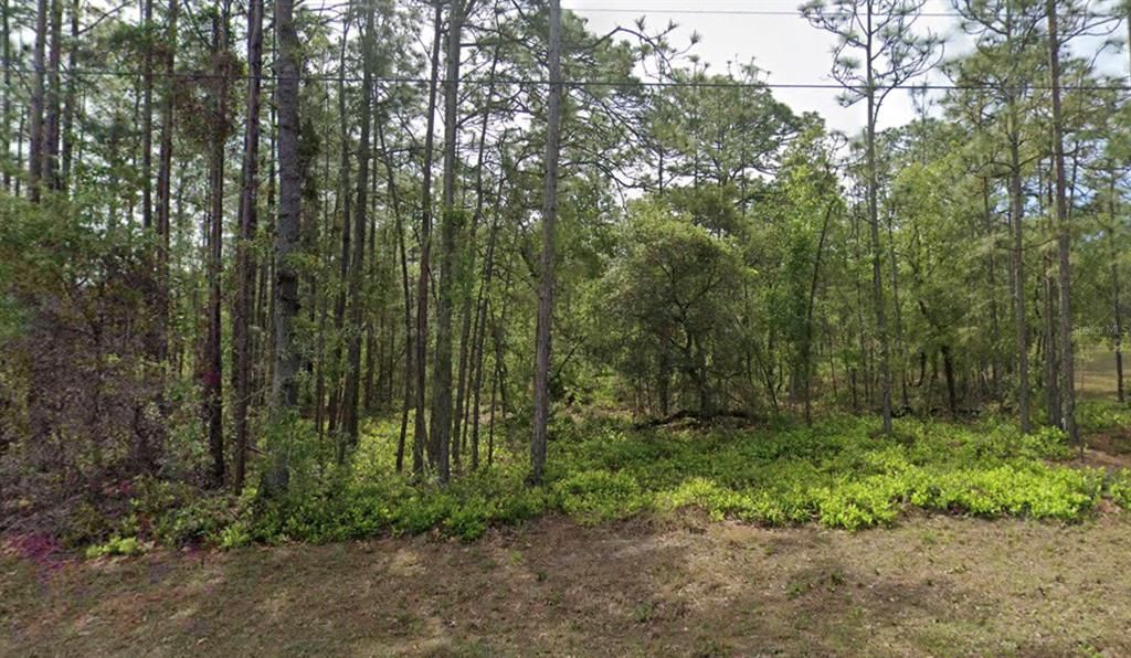 待售: $35,000 (0.33 acres)