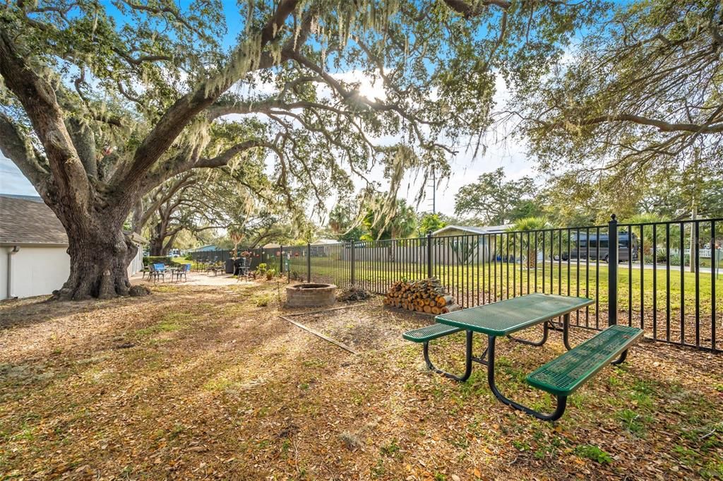 For Sale: $229,000 (1 beds, 1 baths, 818 Square Feet)