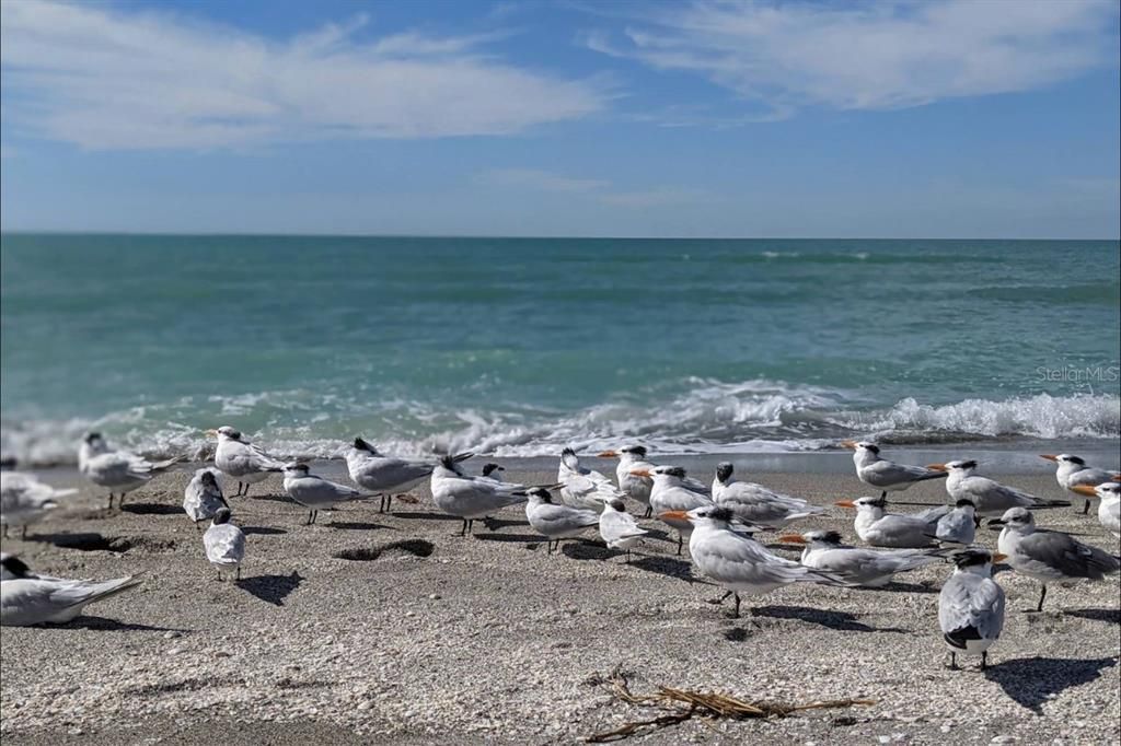 待售: $295,000 (3 贝兹, 2 浴室, 1383 平方英尺)