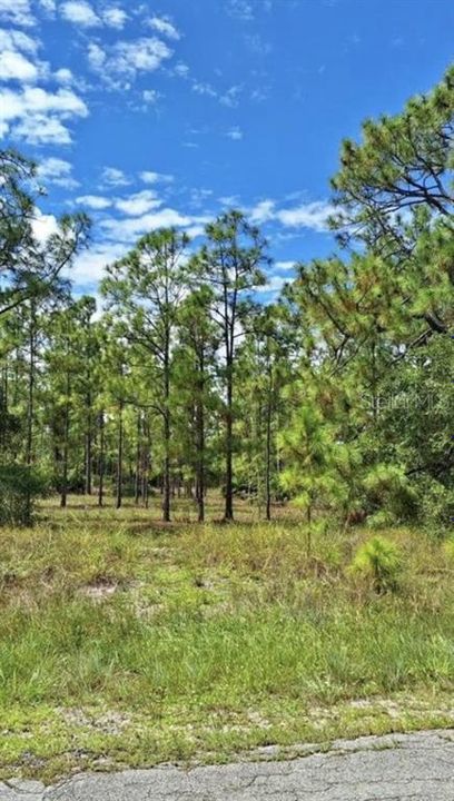 待售: $19,000 (0.23 acres)